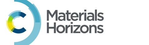 RSC Materials Horizons Poster Presentation Prize